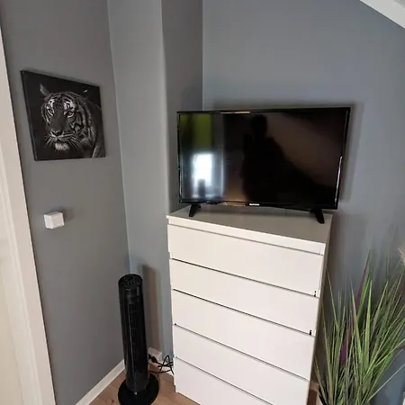 Zentrum 5004e Flensburg